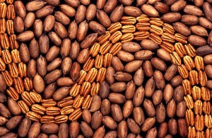 Pecans for sale